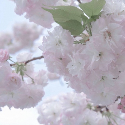 Furry插画手绘教程兽圈社群