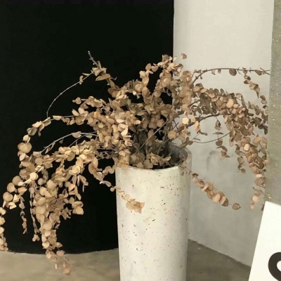 Furry插画光影处理Furry群